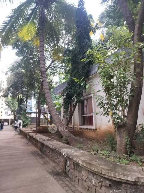 2 BHK Flat In Gulmohar Paradise for Rent  In Wadgaon Sheri