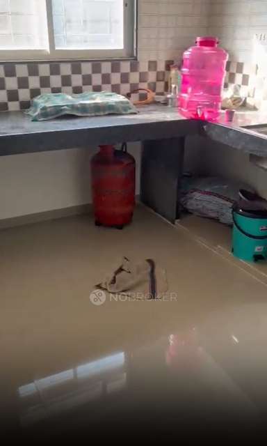 1 BHK Flat In Tanish Park, Charholi Budruk, Pune for Rent  In Charholi Budruk, Pune