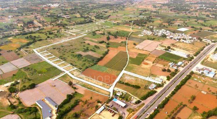 Plot For Sale  In Express City In Kolar