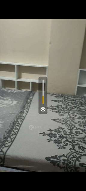 1 BHK Flat In Dreams Avani for Rent  In Manjri