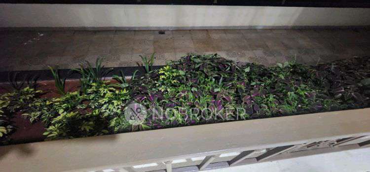 2 BHK Flat In Ds Max Shresta for Lease  In Ds Max Shresta