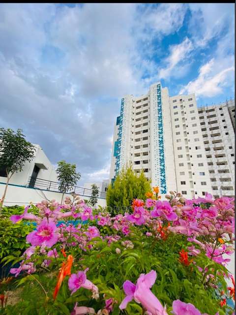 3 BHK Flat In The Commune For Sale  In Chandapura