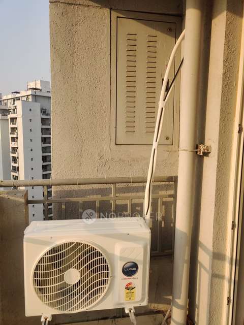 3 BHK Flat In Anant Raj Maceo, Sector 91 for Rent  In Sector 91