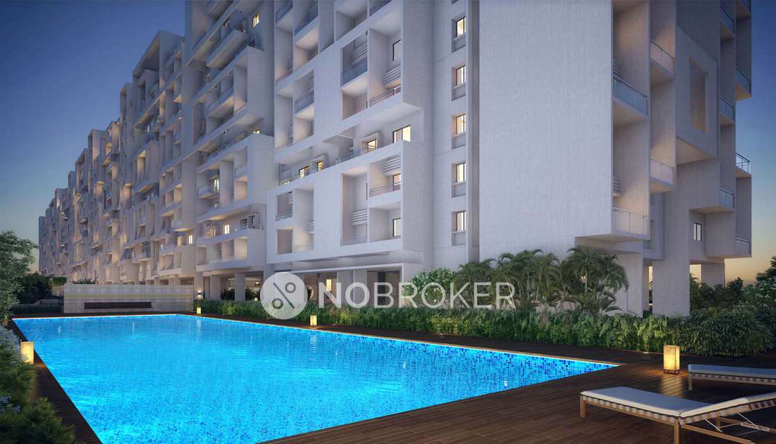 Shared Room for Male In 2 BHK  In Rohan Ananta Opp Jspm ,tathawade In Rohan Ananta 