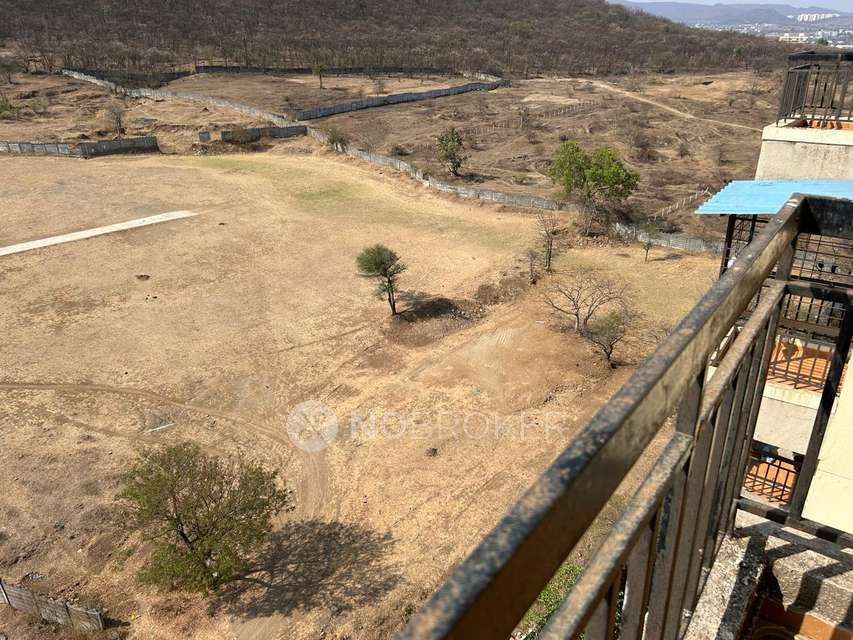 1 BHK Flat In Calyx Navyangan  for Rent  In Ambadwet