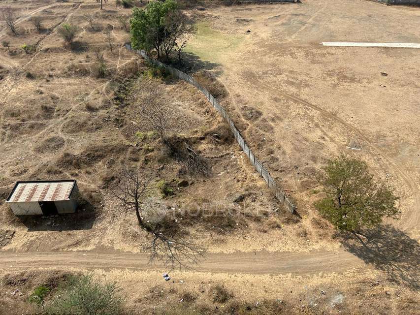 1 BHK Flat In Calyx Navyangan  for Rent  In Ambadwet