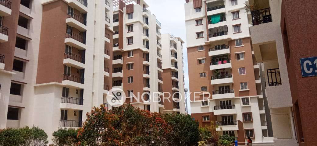 3 BHK Flat In Ncc Cyber Urbania for Rent  In Osman Nagar 