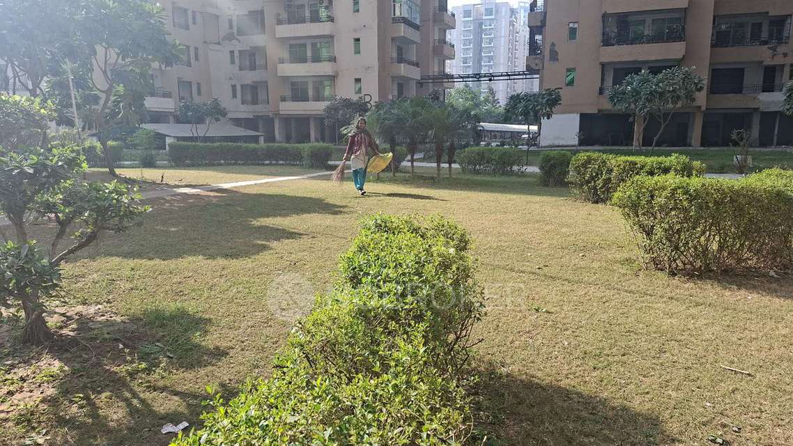 4 BHK Flat In Kbnows Apartment for Rent  In Kbnows Apartment