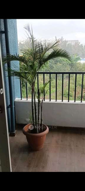 2 BHK Flat In Pune for Rent  In Ravet