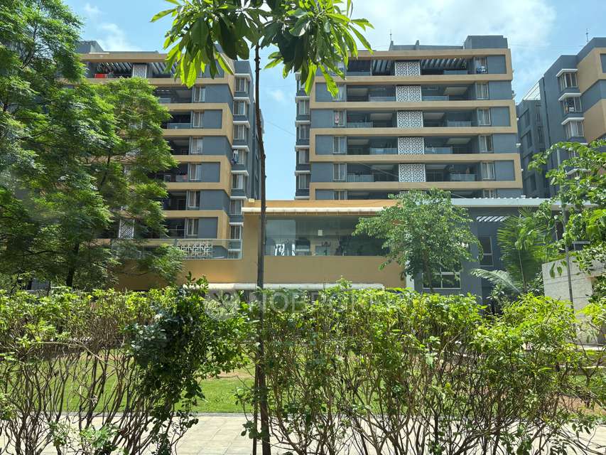 2 BHK Flat In Gini Belvista for Rent  In Dhanori