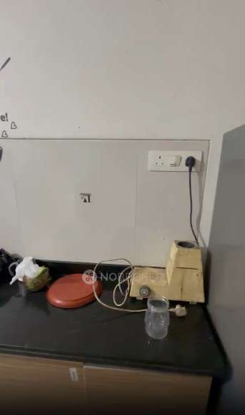 3 BHK Flat In Kalpataru Harmony, Wakad for Rent  In Wakad