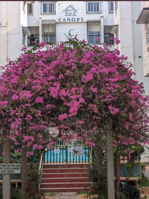 3 BHK Flat In Canopy Calyx for Rent  In  Nagavara
