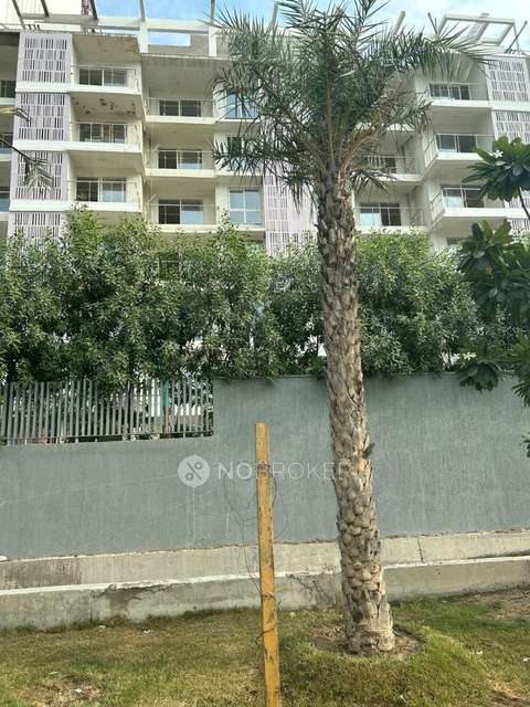 2 BHK Flat In Godrej Palm Retreat for Rent  In Gfcg+fjg, Upsidc Site A, Surajpur, Greater Noida, Uttar Pradesh 201306, India