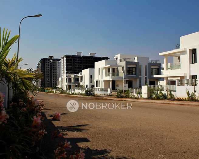 3 BHK Villa In Kolte Patil Ivy Estate Rowhouse for Rent  In Wagholi