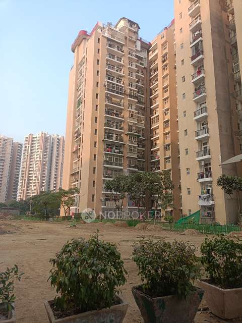 2 BHK Flat In Amrapali Zodiac For Sale  In Sector - 120