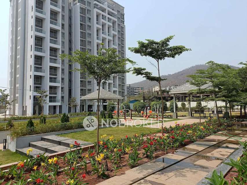 2 BHK Flat In 32 Pine Wood Drive for Rent  In Hinjawadi