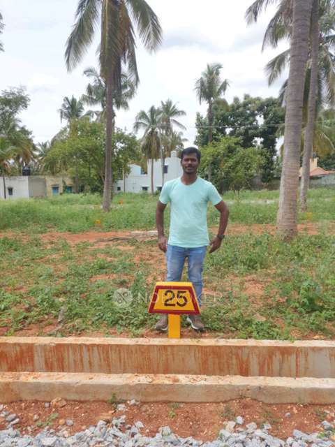 Plot For Sale  In Astha In Chikkalluru