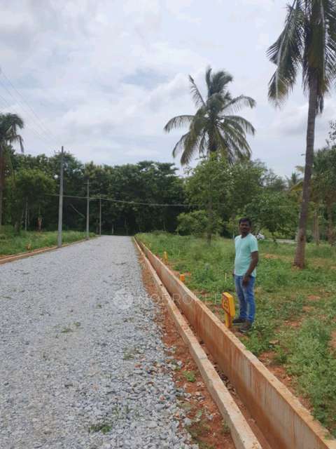 Plot For Sale  In Astha In Chikkalluru