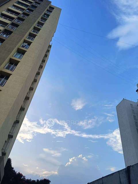 2 BHK Flat In The Leaf, Kondhwa Budruk for Rent  In Kondhwa