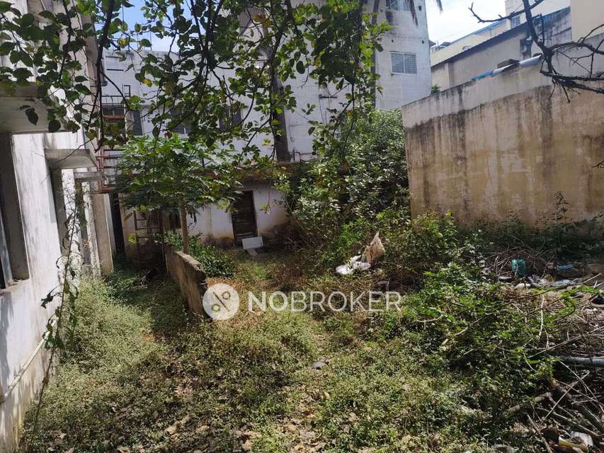 Plot For Sale  In Yelachenahalli