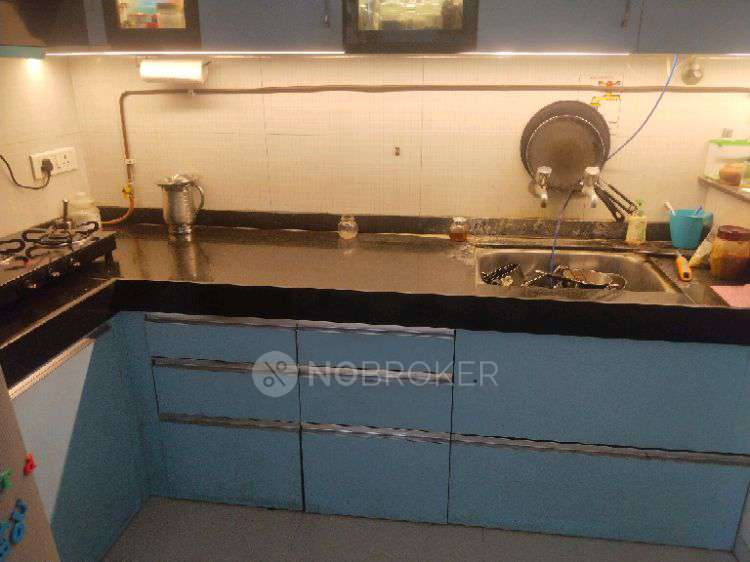 2 BHK Flat In Nyati Elan West 3 for Rent  In Wagholi