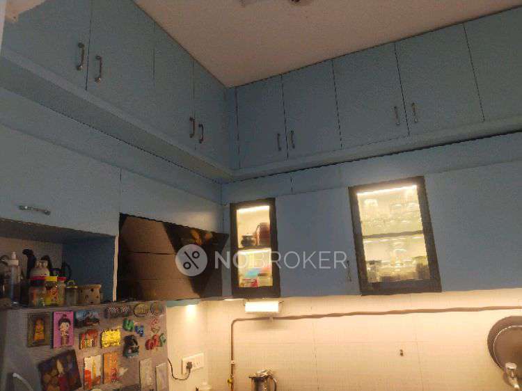 2 BHK Flat In Nyati Elan West 3 for Rent  In Wagholi