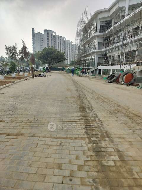 3 BHK Flat In Signature Global City 81 For Sale  In Sector 81