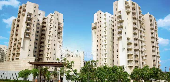 3 BHK Flat In Bptp Park Serene 37d for Rent  In 630, Pace City Ii, Sector 37, Gurugram, Haryana 122004, India