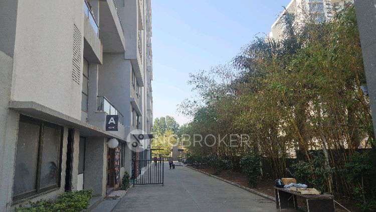 PG for Anyone in Gvm7+367, Sangamvadi, Pune, Maharashtra 411001, India