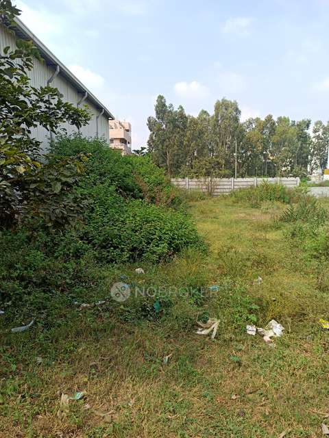 Plot For Sale  In Dr.shivaram Karanth Nagar