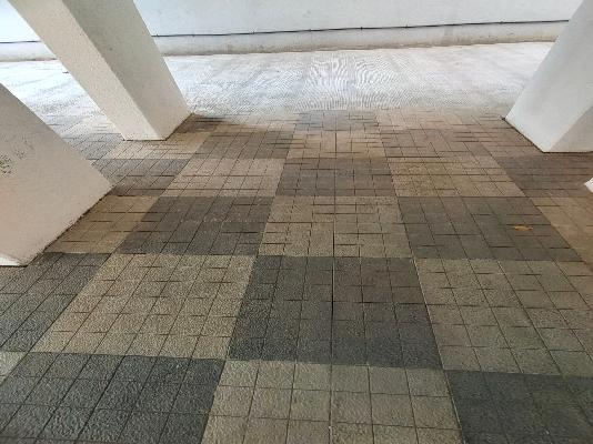 2 BHK Flat In Gt Pride for Rent  In Pimpri-chinchwad