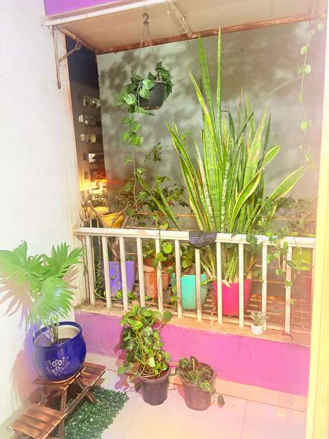 Single Room for Female In 2 BHK  In Gurudatta Saloni Prestige In Manjari Budruk