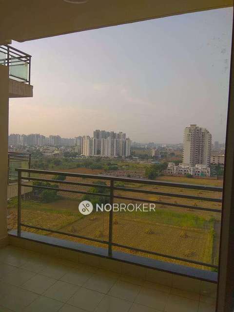 3 BHK Flat In Dlf Ultima For Sale  In Sector-81