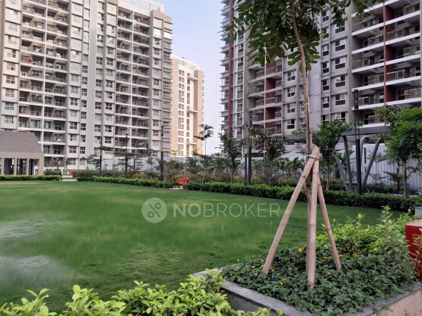 2 BHK Flat In Park Connect By Pride Purple  for Rent  In Hinjawadi
