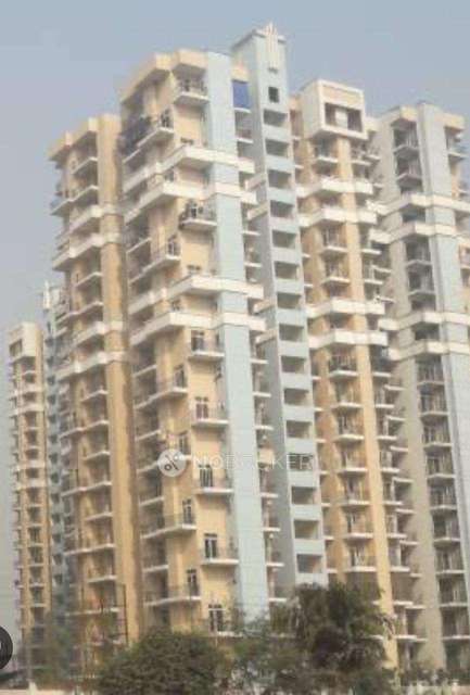 3 BHK Flat In Newtech La Galaxia Apartments for Rent  In Zeta I