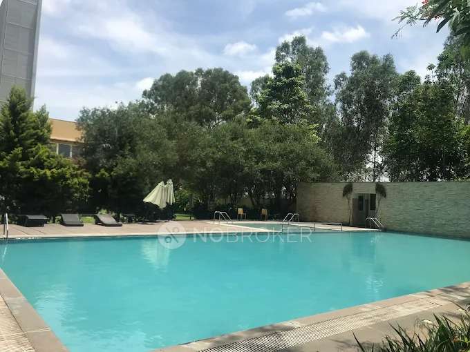 3 BHK Flat In Brigade Exotica For Sale  In Buddigere Cross ,old Madras Road