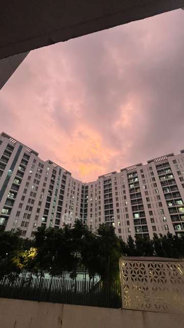 Shared Room for Female In 2 BHK  In Megapolis Saffron  In Hinjawadi