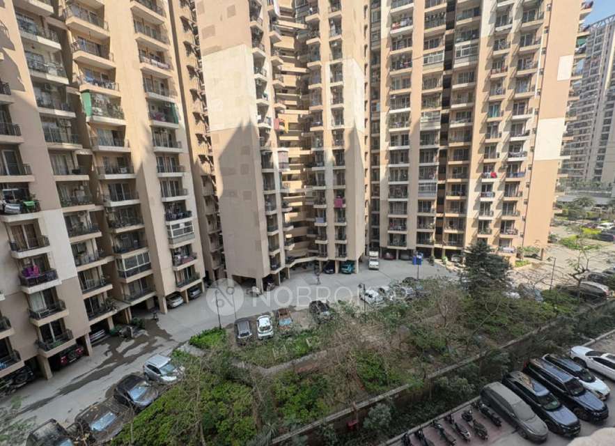 Single Room for Male In 2 BHK  In Gaur City 2 In Noida Extention