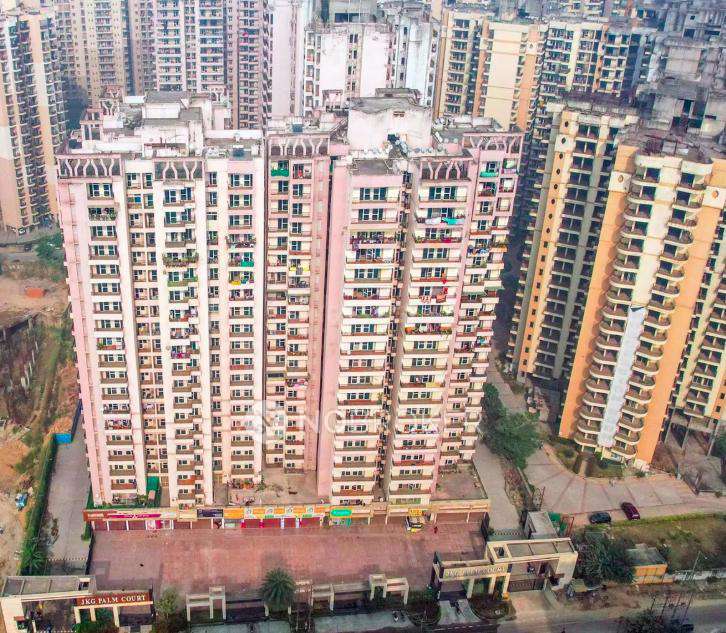 2 BHK Flat In Jkg Palm Court for Rent  In Sector 16