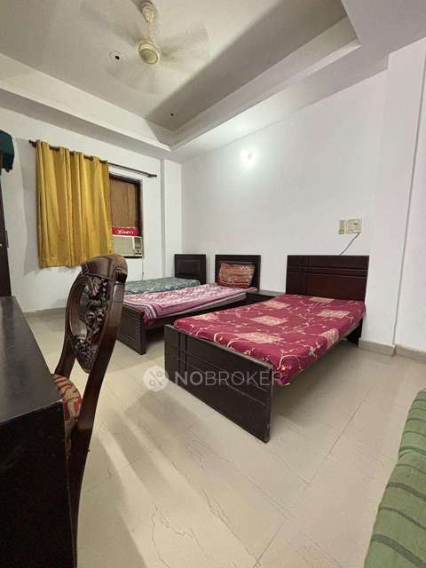 PG for Anyone in Sector 19