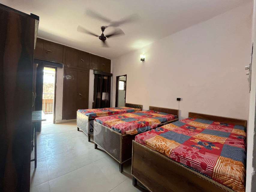 PG for Anyone in Sector 19