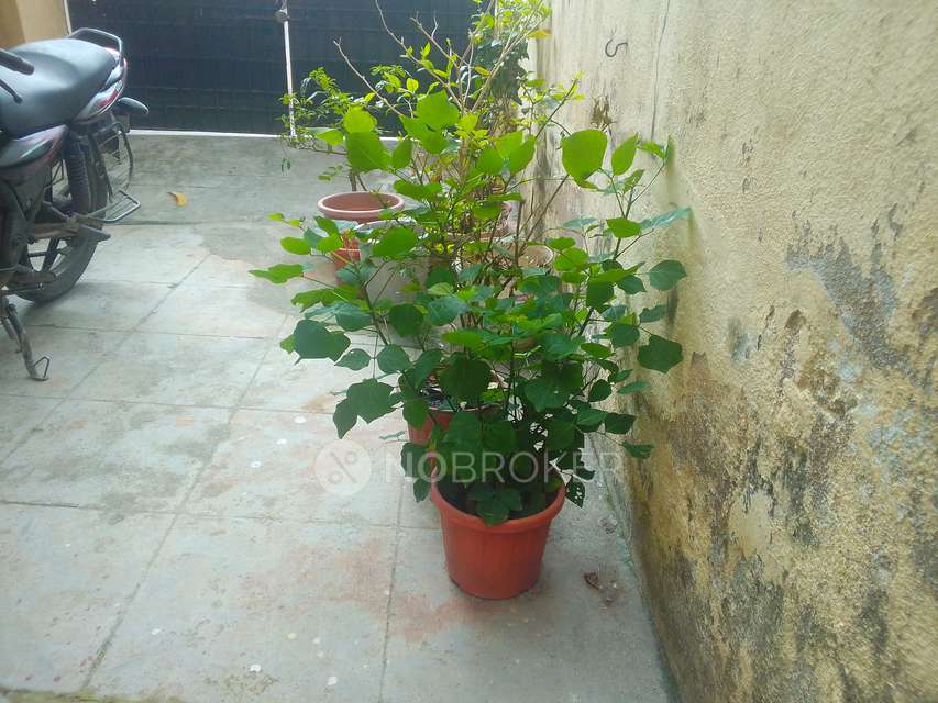 2 BHK House For Sale  In Madipakkap