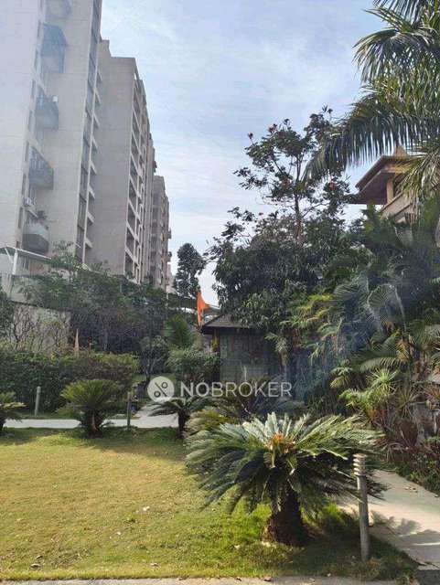 2 BHK Flat In Silveroak Shriyans for Rent  In Shriyans Punawale