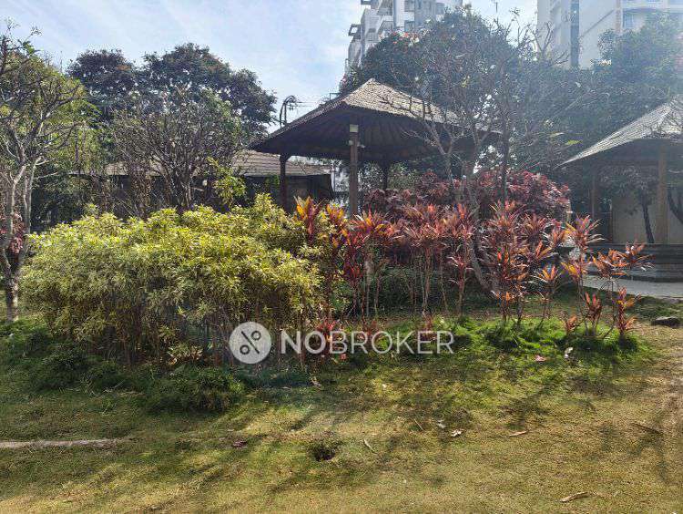 2 BHK Flat In Silveroak Shriyans for Rent  In Shriyans Punawale