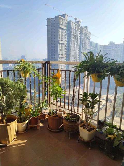 2 BHK Flat In Silveroak Shriyans for Rent  In Shriyans Punawale