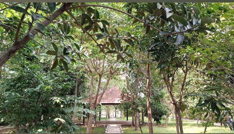 Plot For Sale  In Oraiyan Devanagari Project  In Doddaballapura