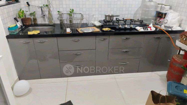 1 BHK Flat In Paranjape Trident Towers, Wakad  for Rent  In Wakad 