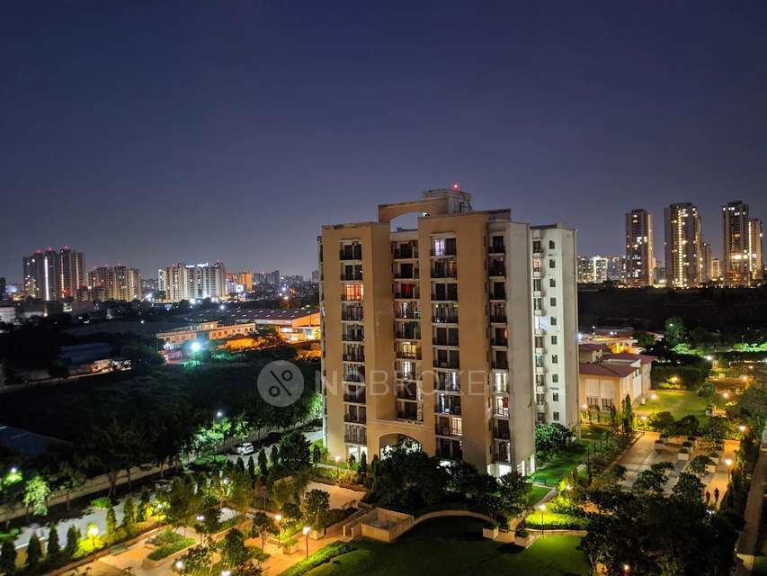 3 BHK Flat In Vipul Lavanya Apartments  for Rent  In Sector 81