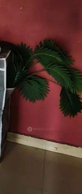 PG for Anyone in Geeta Nagar Phase 6