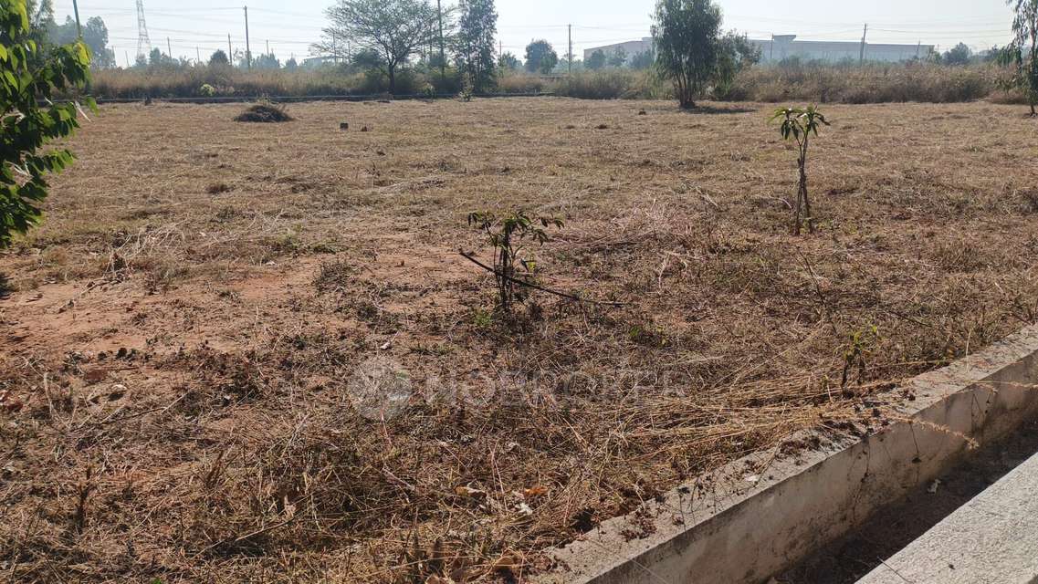 Plot For Sale  In Chikkatirupati